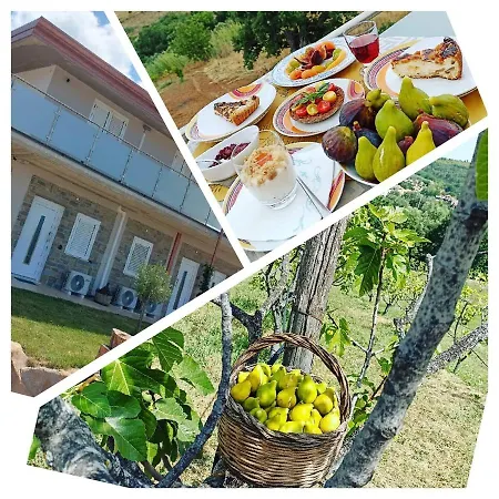 Casa Del Sole Bed & Breakfast Ceraso